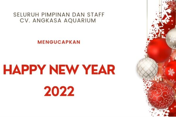 happy_new_year_2022