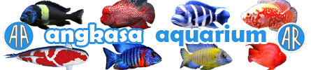 Angkasa Aquarium